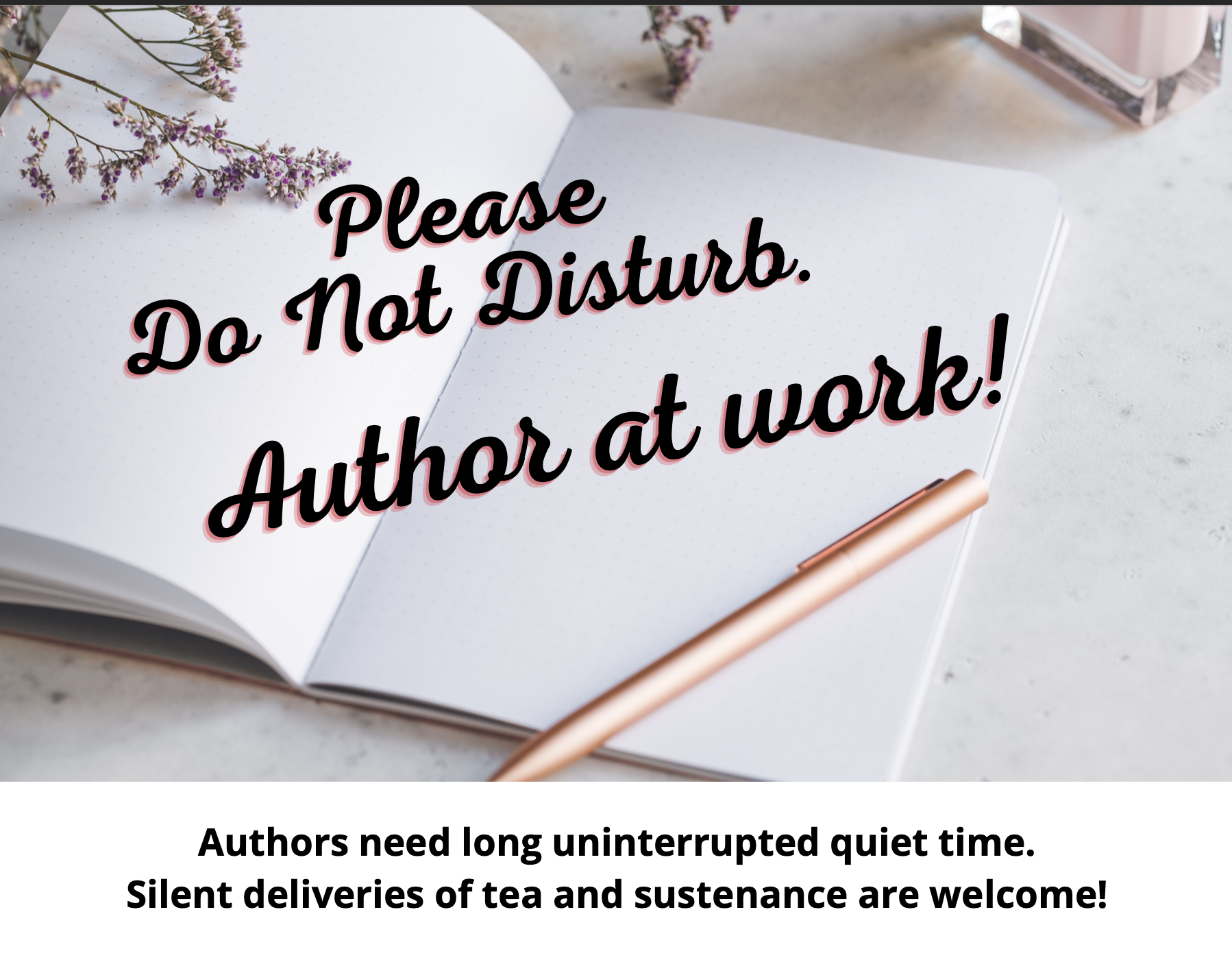 Do Not Disturb Author at Work