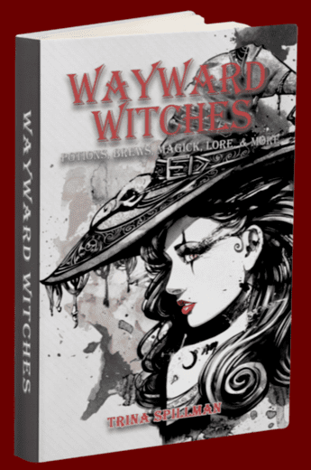 Trina Spillman Wayward Witches